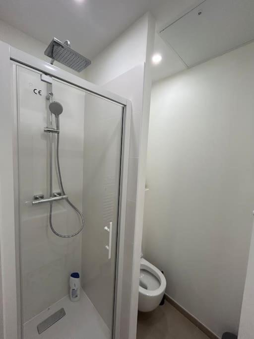Appartement Le Magnifique, Hyper Centre à Toulouse Extérieur photo