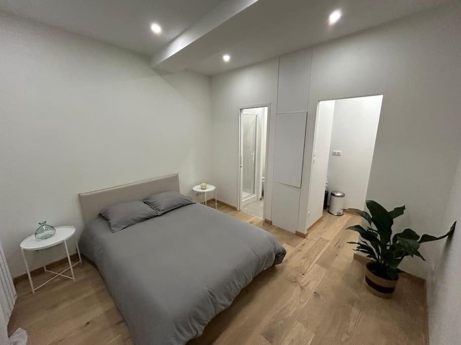 Appartement Le Magnifique, Hyper Centre à Toulouse Extérieur photo